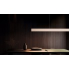 DONEGAL 333310243 LED Κρεμαστό Φωτιστικό TRIO LIGHTING μπεζ night light remote