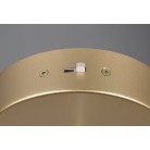 CALA 354810179 φωτιστικό κρεμαστό LED TRIO LIGHTING -TRIO SELECT χρυσό