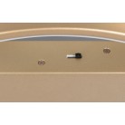 DARVIN φωτιστικό Οροφής LED TRIO LIGHTING 649110179 Χρυσό