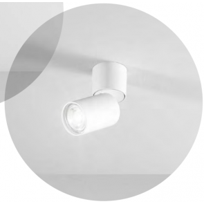 CONNECT  Σποτ Φωτιστικό οροφής PERENZ 6810 B - άσπρο ματ  Ø6cm L13,5cm