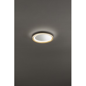 MIRO Φωτιστικό οροφής / τοίχου LED PERENZ 8258 OR LC - χρώμα βουρτσισμένο χρυσό /  με καθρέφτη Ø40cm  