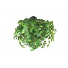LEAVY Φωτιστικό Οροφής REALITY LIGHTING R60463015 Πράσινο