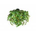 LEAVY Φωτιστικό Οροφής REALITY LIGHTING R60463015 Πράσινο