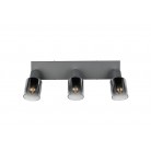 CADIZ Φωτιστικό Οροφής Spot REALITY LIGHTING R81783042 Ανθρακί Γυάλινο CADIZ Φωτιστικό Οροφής Spot REALITY LIGHTING R81783042 Ανθρακί Γυάλινο