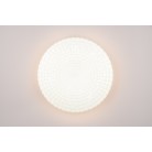 VEGA R64311101 φωτιστικό οροφής LED REALITY LIGHTING Λευκό