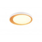 ALETA R64611179 φωτιστικό οροφής LED REALITY LIGHTING Χρυσό