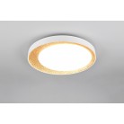 ALETA R64611179 φωτιστικό οροφής LED REALITY LIGHTING Χρυσό