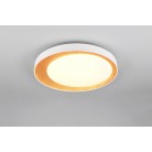 ALETA R64611179 φωτιστικό οροφής LED REALITY LIGHTING Χρυσό