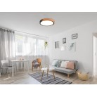 JANO R67201132 φωτιστικό οροφής LED REALITY LIGHTING Μαύρο ματ