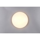 POLLUX R67839100 φωτιστικό οροφής LED REALITY LIGHTING Λευκό