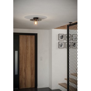 LINTMILL Φωτιστικό Οροφής EGLO 44028 φιμέ Ø53cm