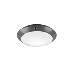 Φωτιστικό Οροφής Reality Lighting της συλλογής CAMARO Ανθρακί