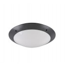 Φωτιστικό Οροφής Reality Lighting της συλλογής CAMARO Ανθρακί