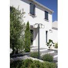 Απλίκες Τοίχου Trio Lighting της συλλογής CUBANGO Ανθρακί