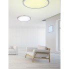 Φωτιστικό Οροφής Trio Lighting της συλλογής GRIFFIN Νίκελ ματ