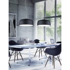 Κρεμαστό Φωτιστικό Trio Lighting Baron Μαύρο Ματ    