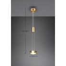 Franklin Κρεμαστό Φωτιστικό TRIO LIGHTING 326510108 Χρυσό ματ