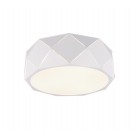 Zandor Φωτιστικό Οροφής TRIO LIGHTING 603500331 Λευκό ματ