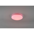 Frodeno Φωτιστικό Οροφής TRIO LIGHTING 680213500 Λευκό