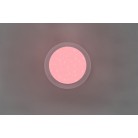 Frodeno Φωτιστικό Οροφής TRIO LIGHTING 680213500 Λευκό