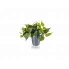 Plant Κρεμαστό Φωτιστικό TRIO LIGHTING 92945 Πράσινο