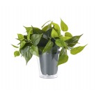 Plant Κρεμαστό Φωτιστικό TRIO LIGHTING 92945 Πράσινο