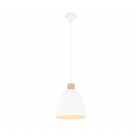 Jagger Κρεμαστό Φωτιστικό REALITY LIGHTING-RL R30681031 Λευκό ματ