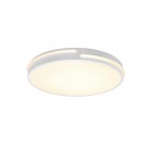 Tacoma Φωτιστικό Οροφής REALITY LIGHTING-RL R62241131 Λευκό ματ