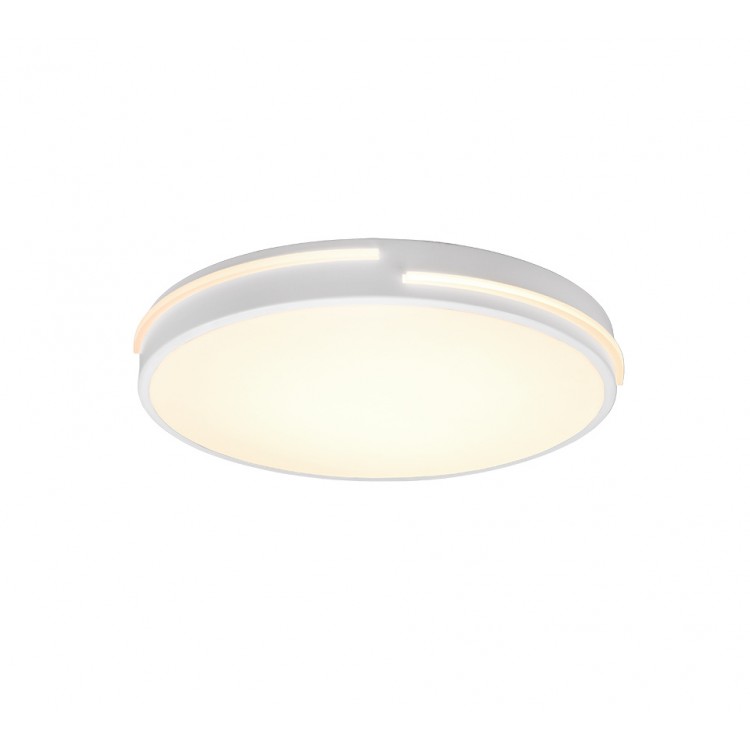 Tacoma Φωτιστικό Οροφής REALITY LIGHTING-RL R62241131 Λευκό ματ