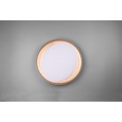 Zeta Φωτιστικό Οροφής REALITY LIGHTING-RL R62712402 Μαύρο
