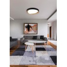 Zeta Φωτιστικό Οροφής REALITY LIGHTING-RL R62712402 Μαύρο