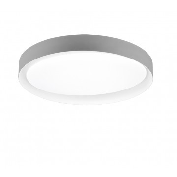 Zeta Φωτιστικό Οροφής REALITY LIGHTING-RL R62712411 Γκρι