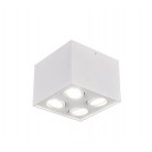 Σποτ Trio Lighting Biscuit Λευκό      