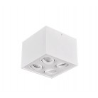 Σποτ Trio Lighting Biscuit Λευκό      