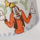 Κρεμαστό Παιδικό Φωτιστικό - Donald & Goofy