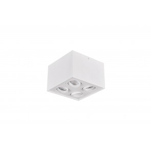 Σποτ Trio Lighting Biscuit Λευκό      